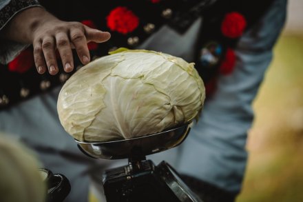 Dożynki 2025 fot. Daniel Franek